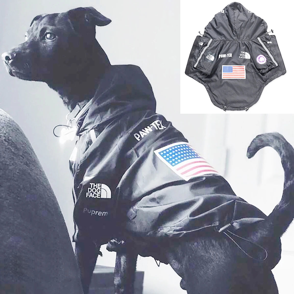 Chubasquero Impermeable para Perros | Chaqueta Exterior Reflectoras con Capucha