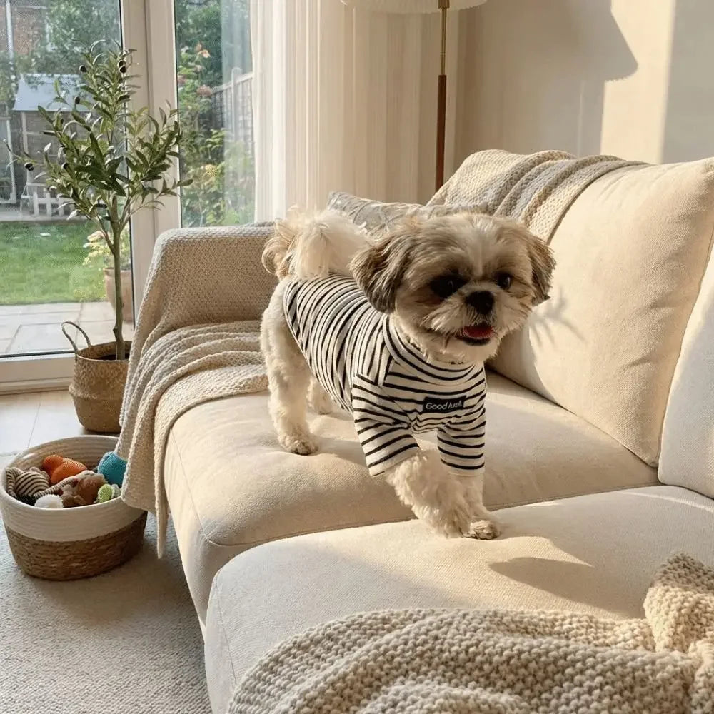 Thermal Dog Sweater | Soft and Warm Striped Pet Clothing
