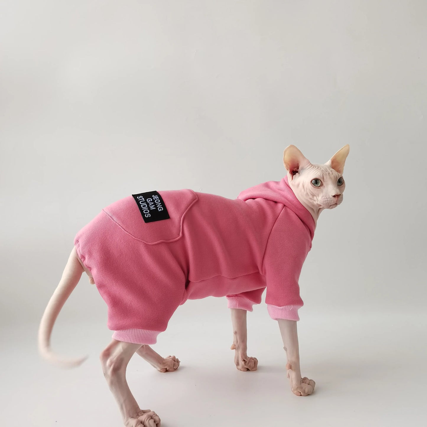 Soft Fleece-Lined Coat for Cats | Cozy Autumn Winter Hoodie