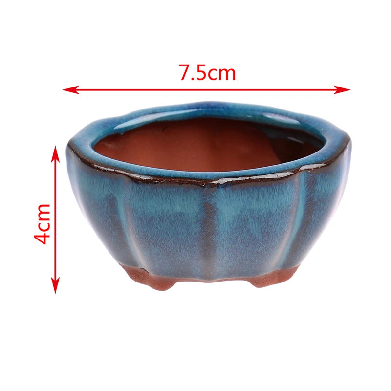 Chinese Style Bonsai Flowerpot | Ceramic Plant Planter for Home