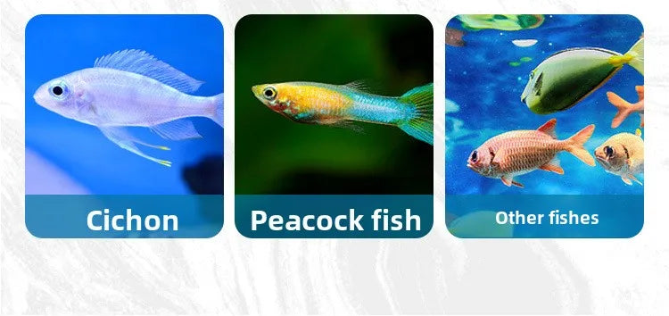 Freeze-Dried Blood Worms for Tropical Fish & Axolotls