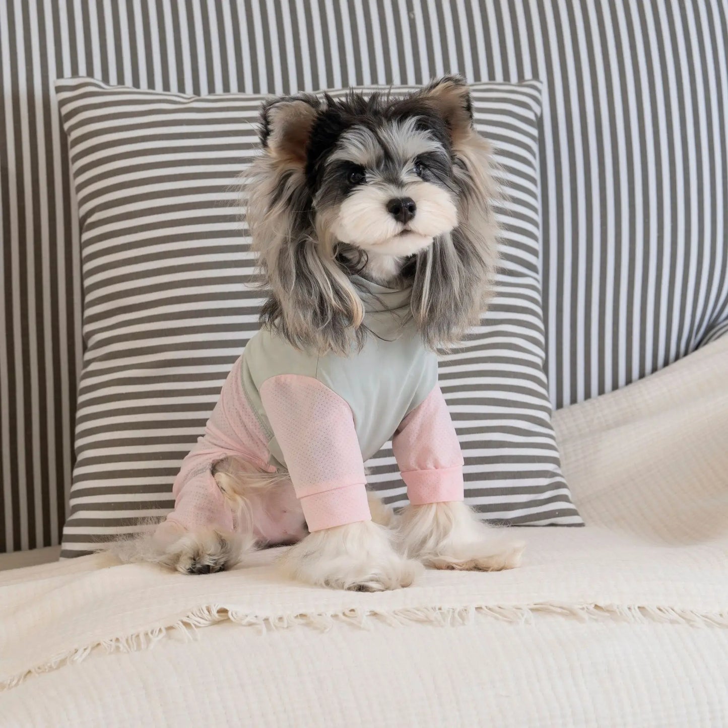 Ultra Lightweight Ice Silk Dog Jumpsuit | Breathable Full Body Pajamas