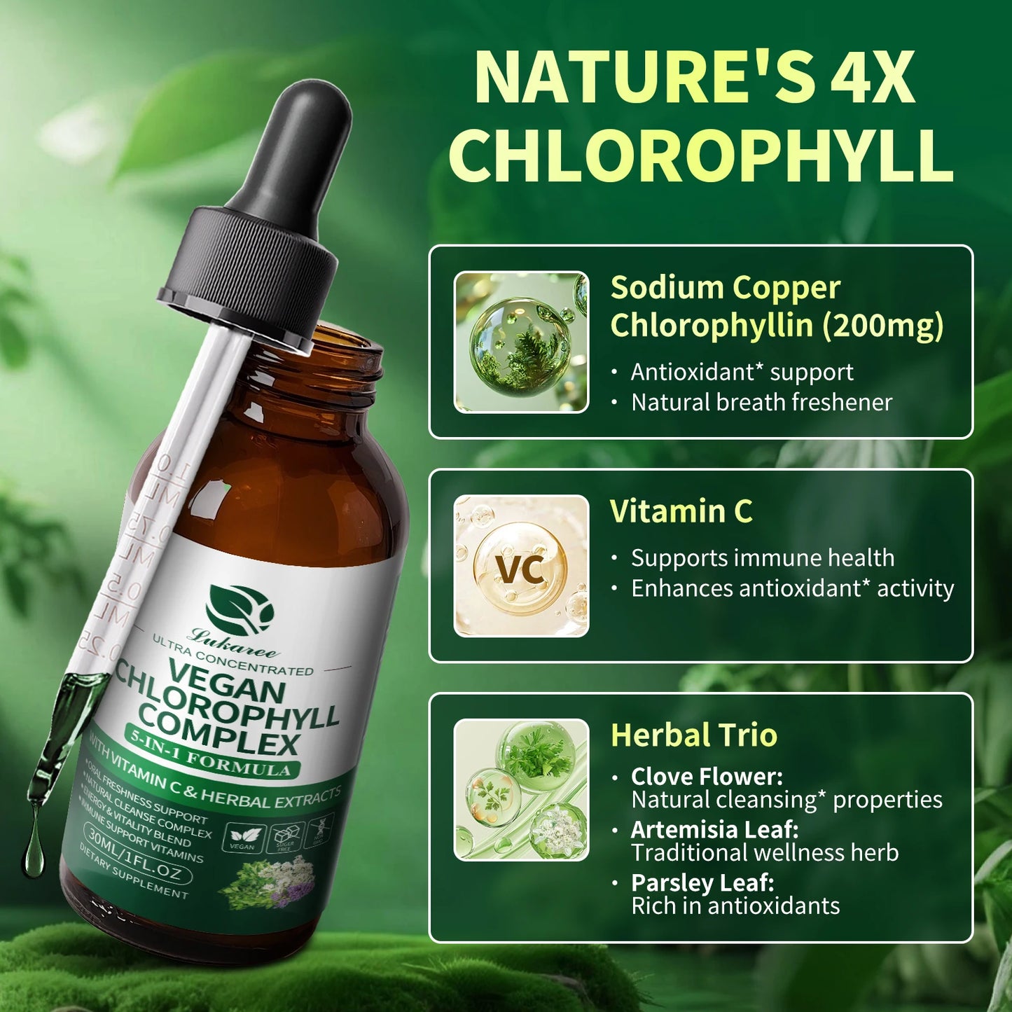 Natural Chlorophyll Liquid Drops for Immune & Gut Health