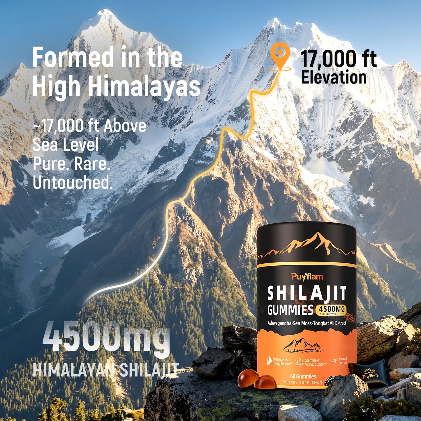 Potent Shilajit Gummies for Immune Support - 4500MG Strength