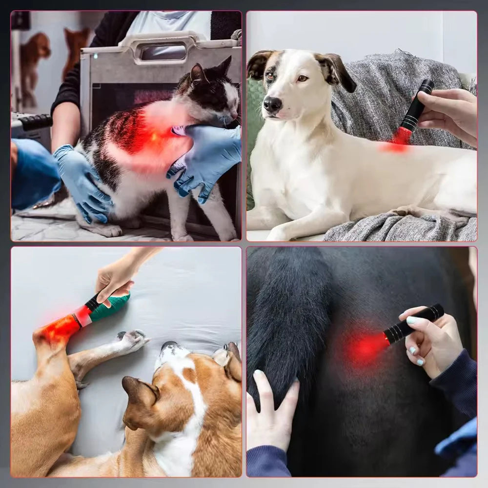 Red Light Therapy Lamp for Pain Relief | Portable LED Torch