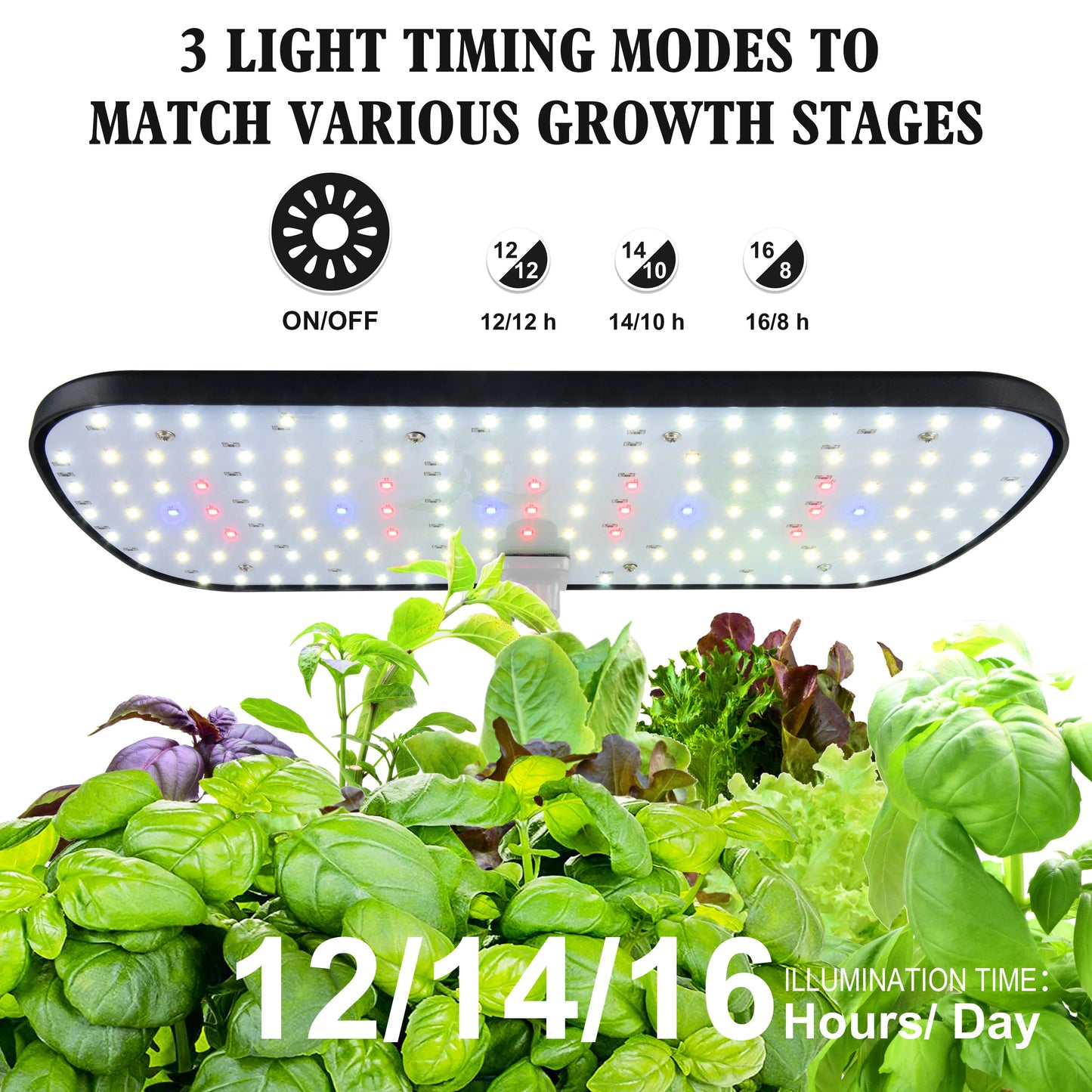 Indoor Hydroponics Growing System | 12 Pods Herb Garden Kit