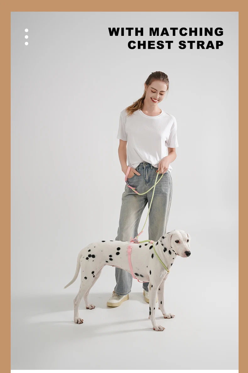 Cute Sugar Color Dog Collar and Leash Set for Small to Medium Dogs