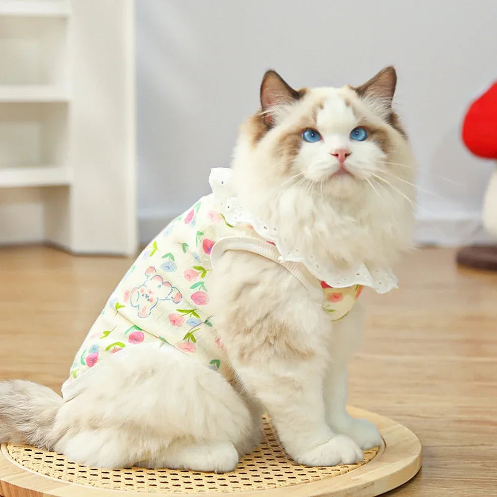 Cute Cooling Vest for Medium & Large Dogs | Summer Pet Apparel
