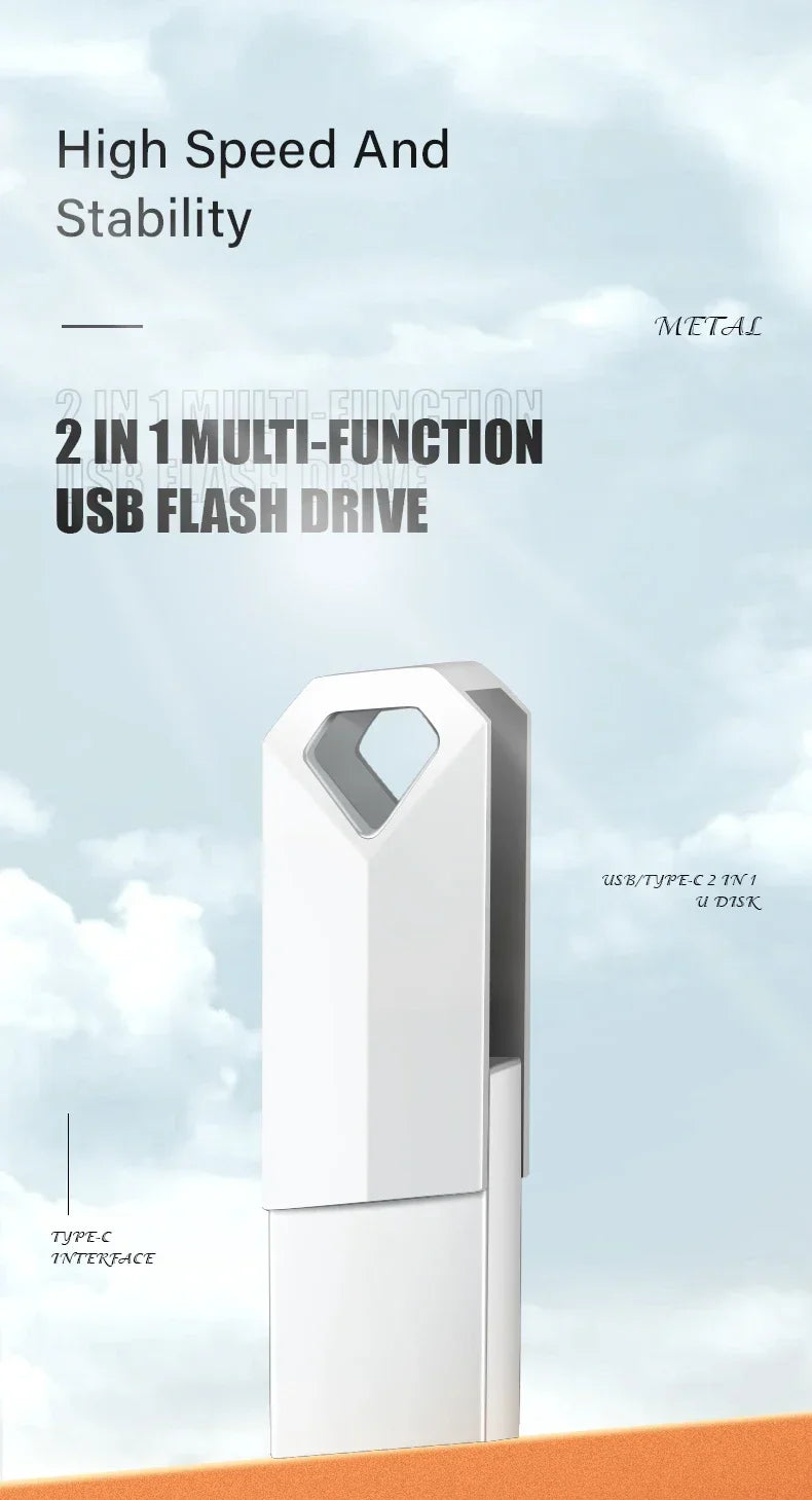 Dual TYPE-C Metal USB Flash Drive | Reliable Memory Storage