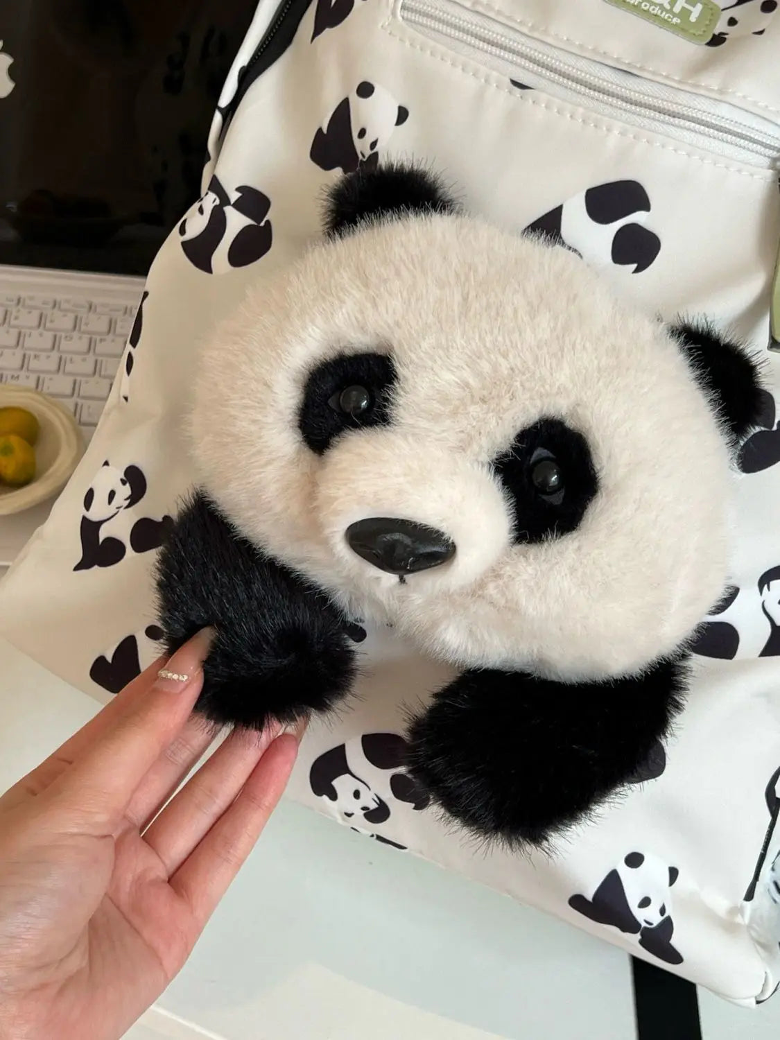 Cute Panda Backpack | Fashionable Lightweight School Bag for Students