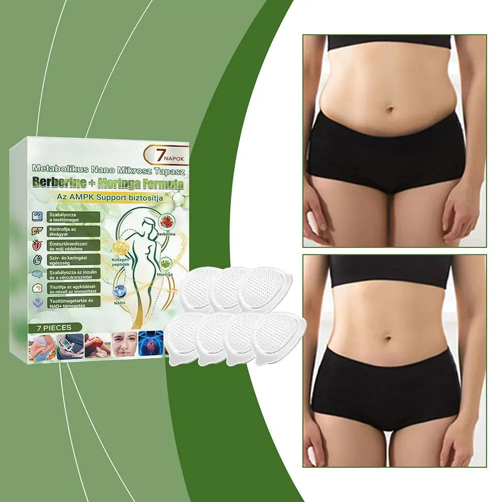 Advanced Nano Microneedle Patch for Body Skin Care
