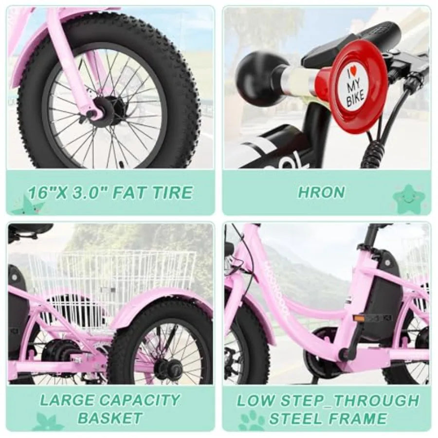 Electric Tricycle for Youth | 250W 3-Wheel Electric Bike