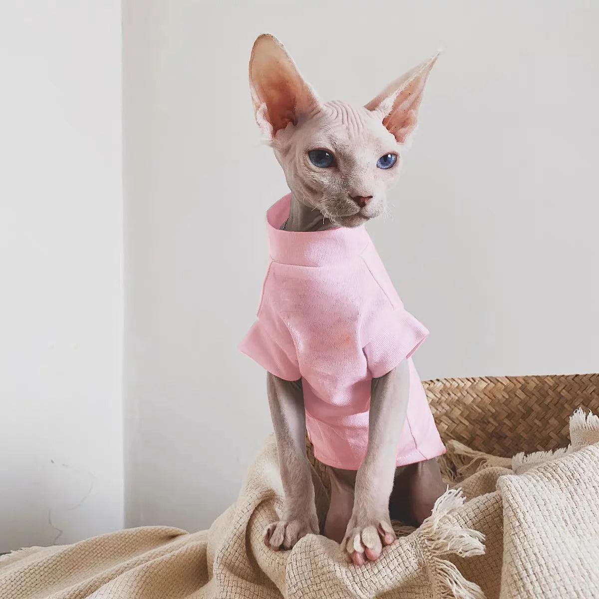 Chaleco de algodón suave para gatos sin pelo | Ropa elegante de verano para gatos