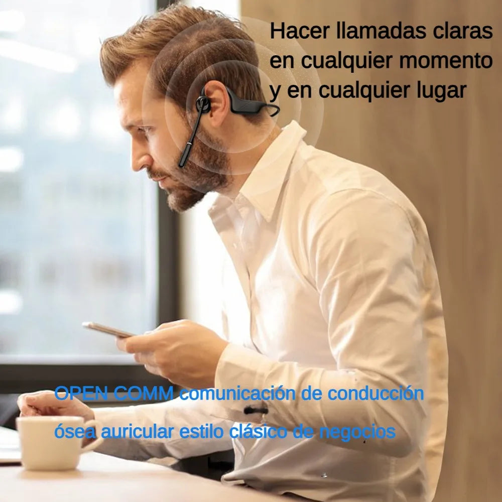 Professional Open Stereo Headphones with Noise Canceling Microphone