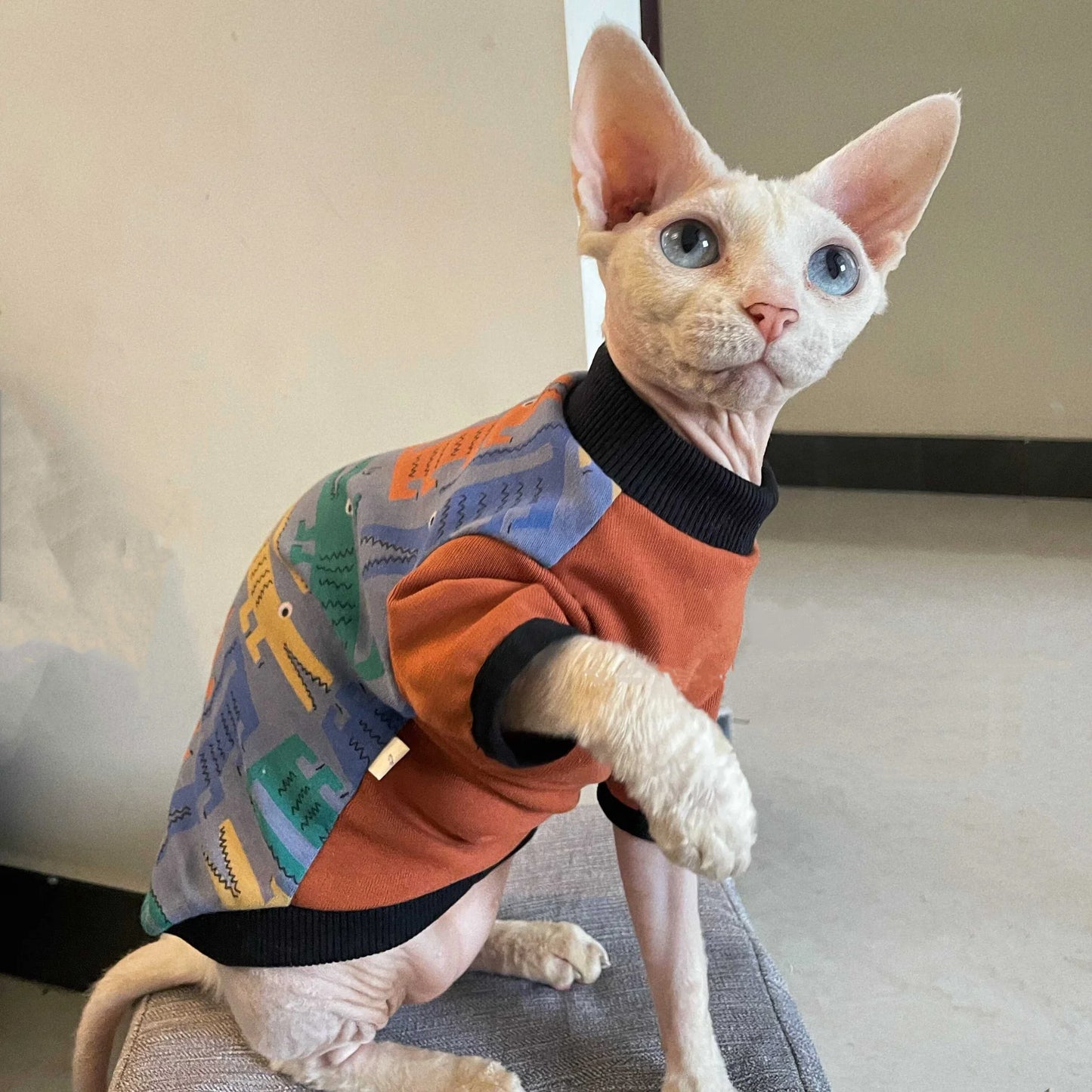 Long Sleeve Sweatshirt for Cats | Cozy Cartoon Coat for Spring