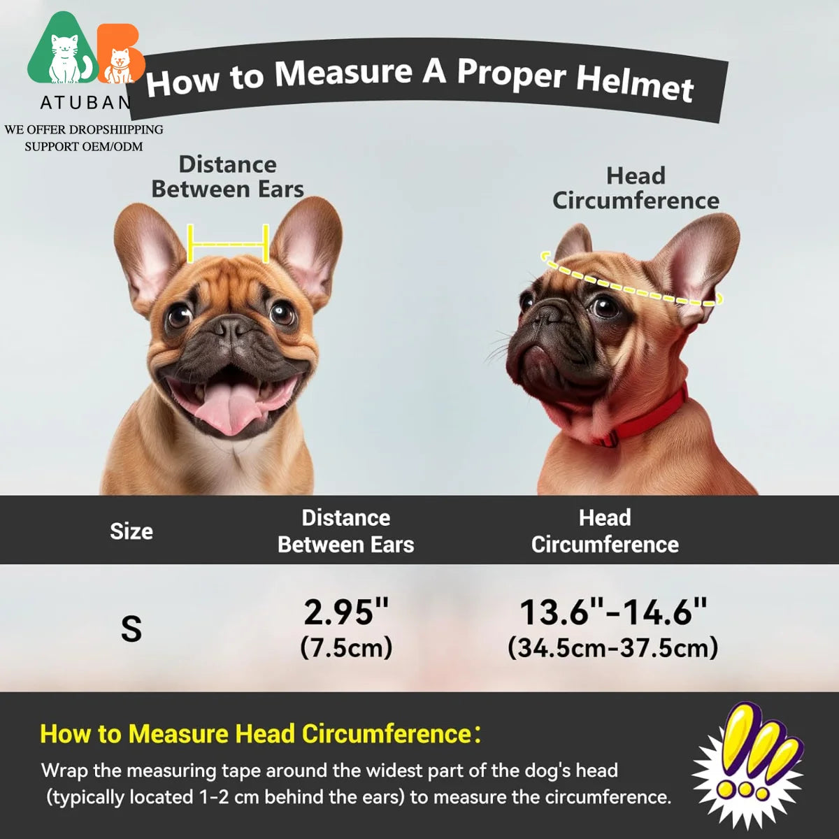 Dog Motorcycle Helmet for Small Breeds | Stylish & Protective