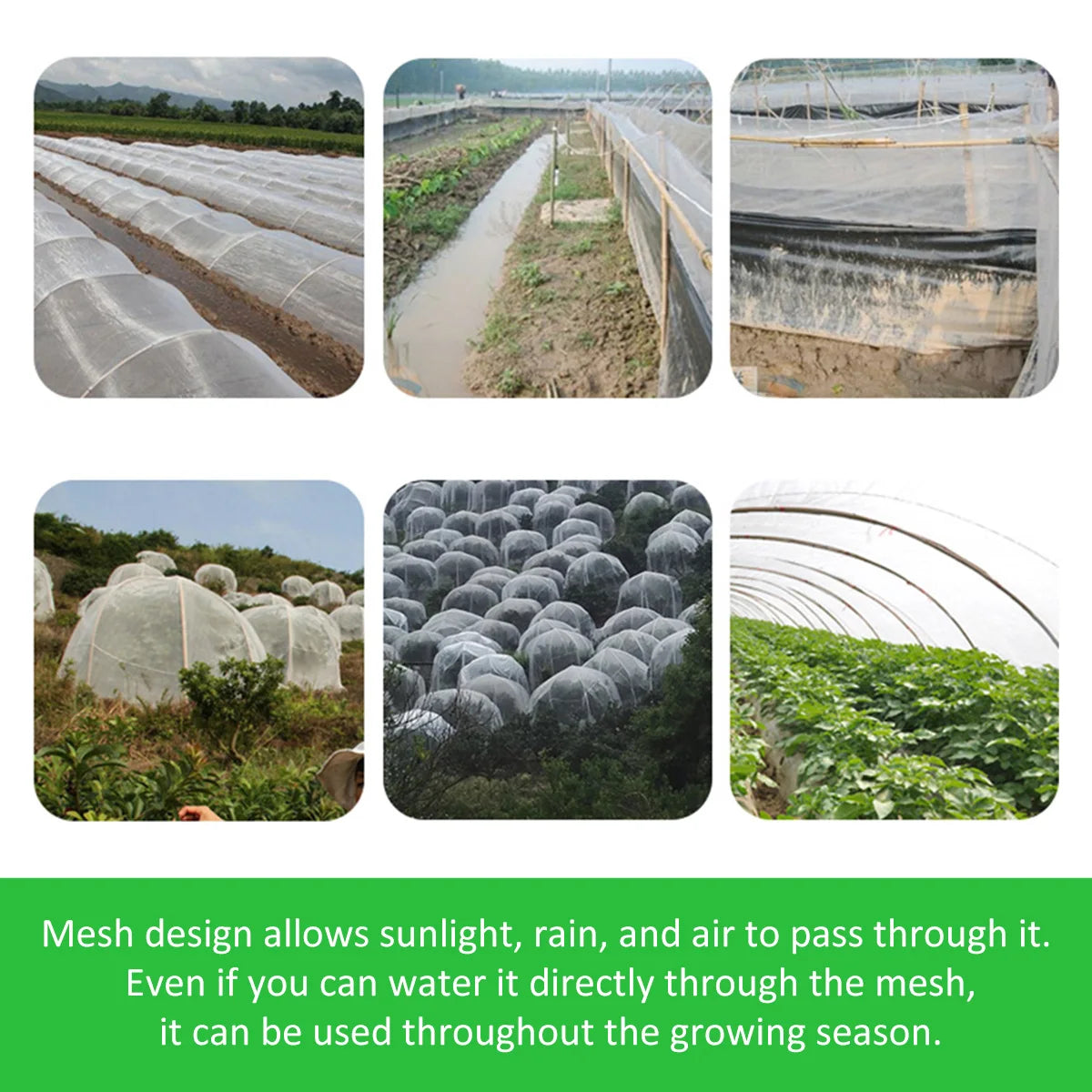 Garden Insect Protection Net | Vegetable & Fruit Care Cover