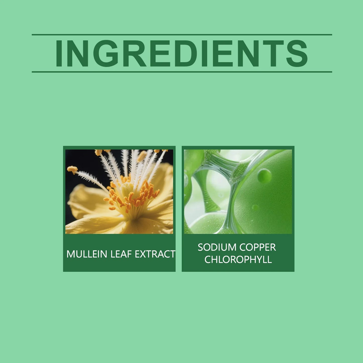 Herbal Mullein & Chlorophyll Drops for Respiratory Support