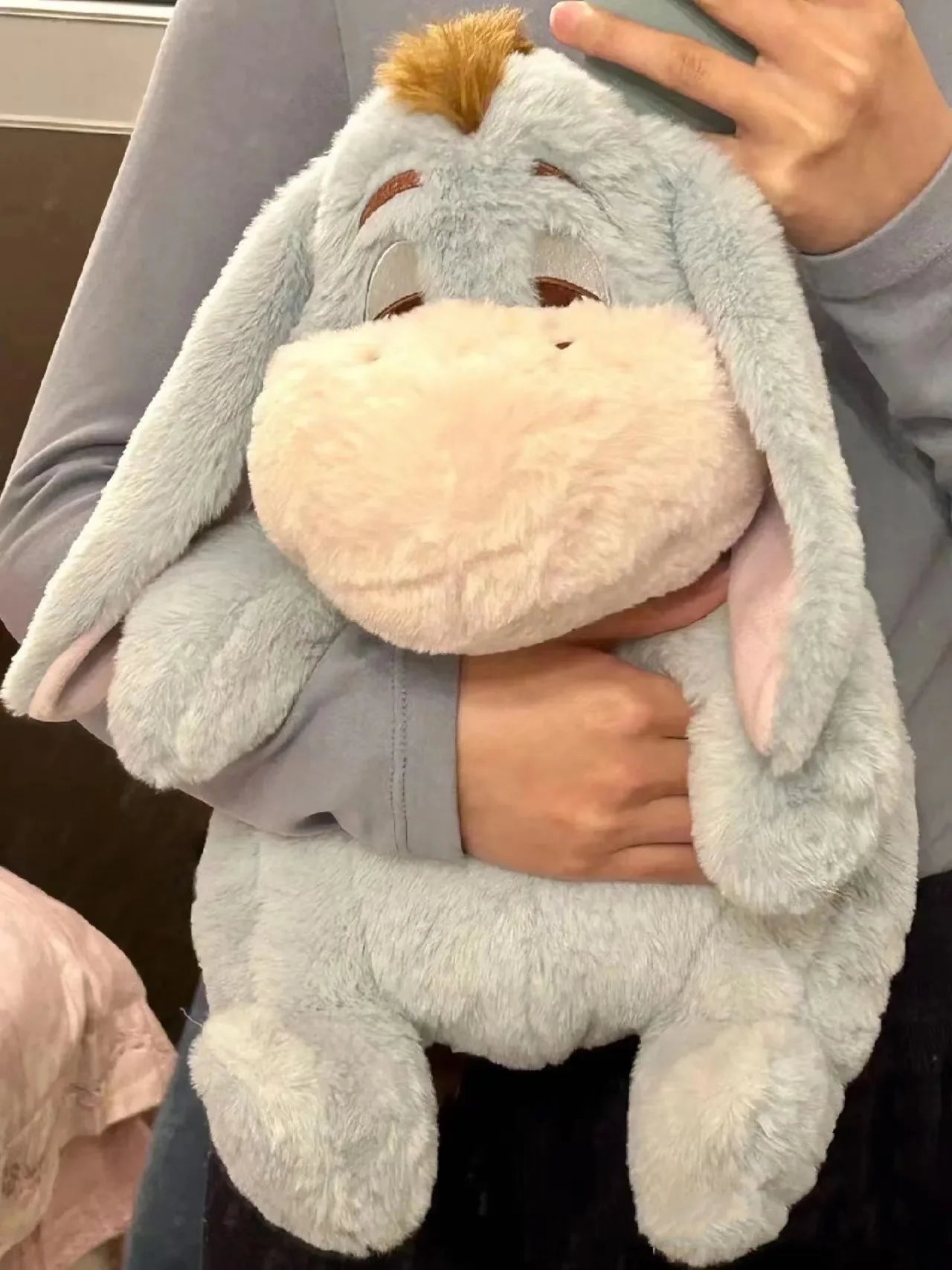 Cute Plush Eeyore Piglet Toy | Cozy Room Decor Companion