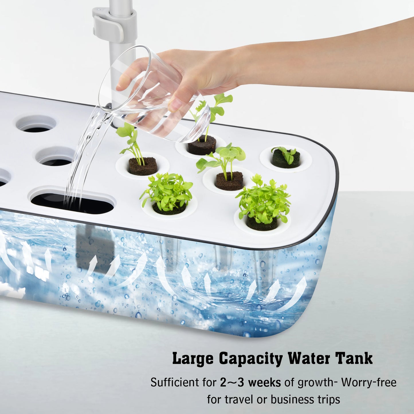 Indoor Hydroponics Growing System | 12 Pods Herb Garden Kit