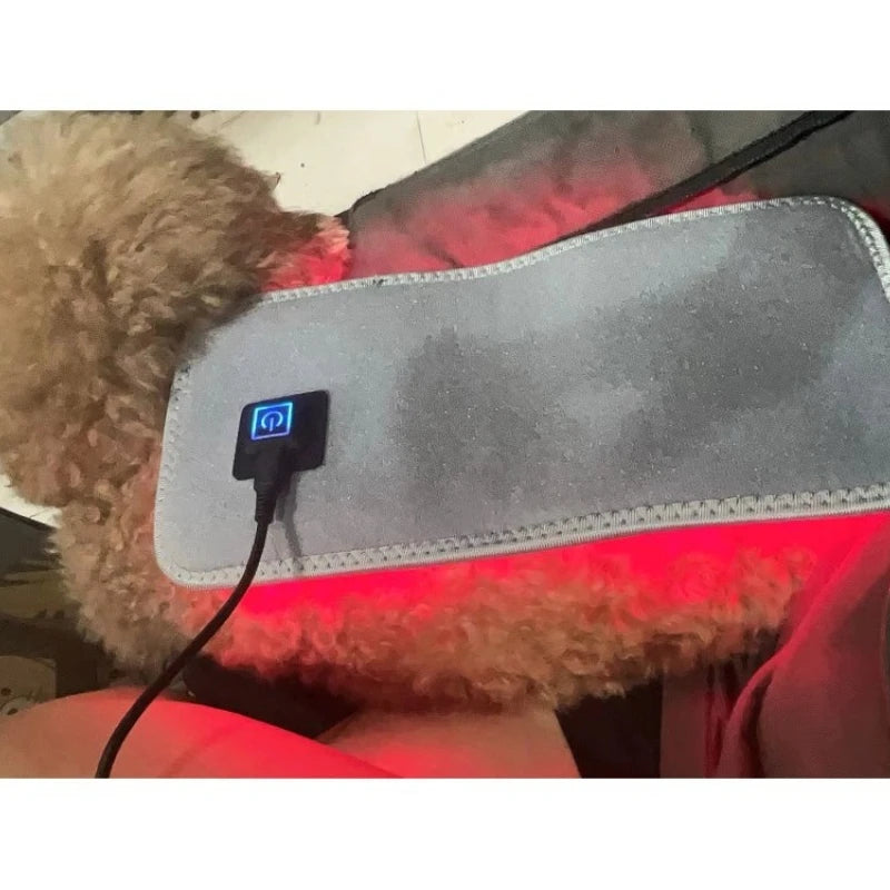 Infrared Red Light Therapy Belt for Pet Care | Relieve Pain Naturally