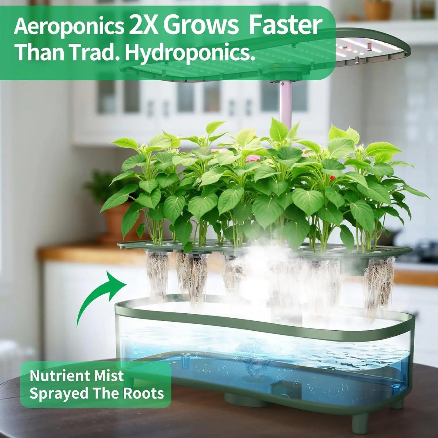 Indoor Herb Garden Kit | 15 Pods with Smart Grow Modes