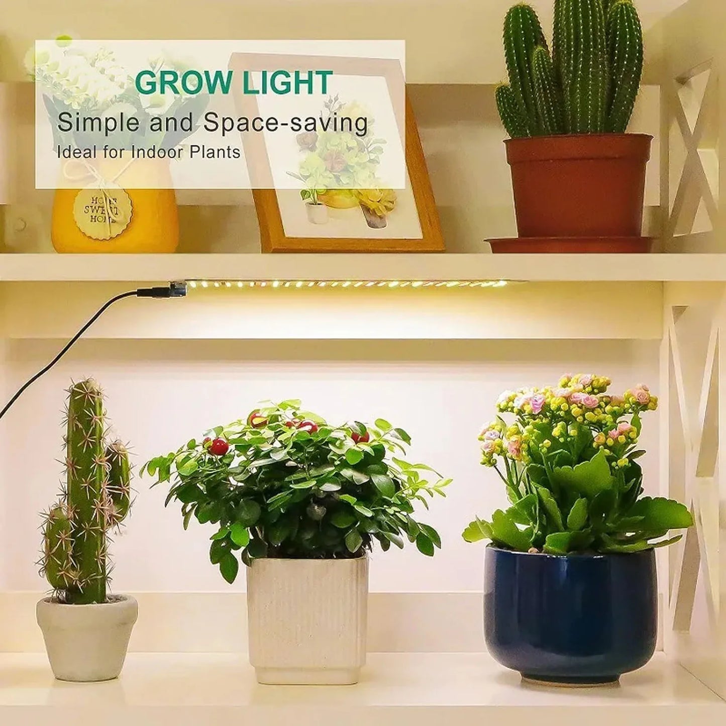 Full Spectrum LED Grow Light | 20W Dimmable Indoor Plant Lamp