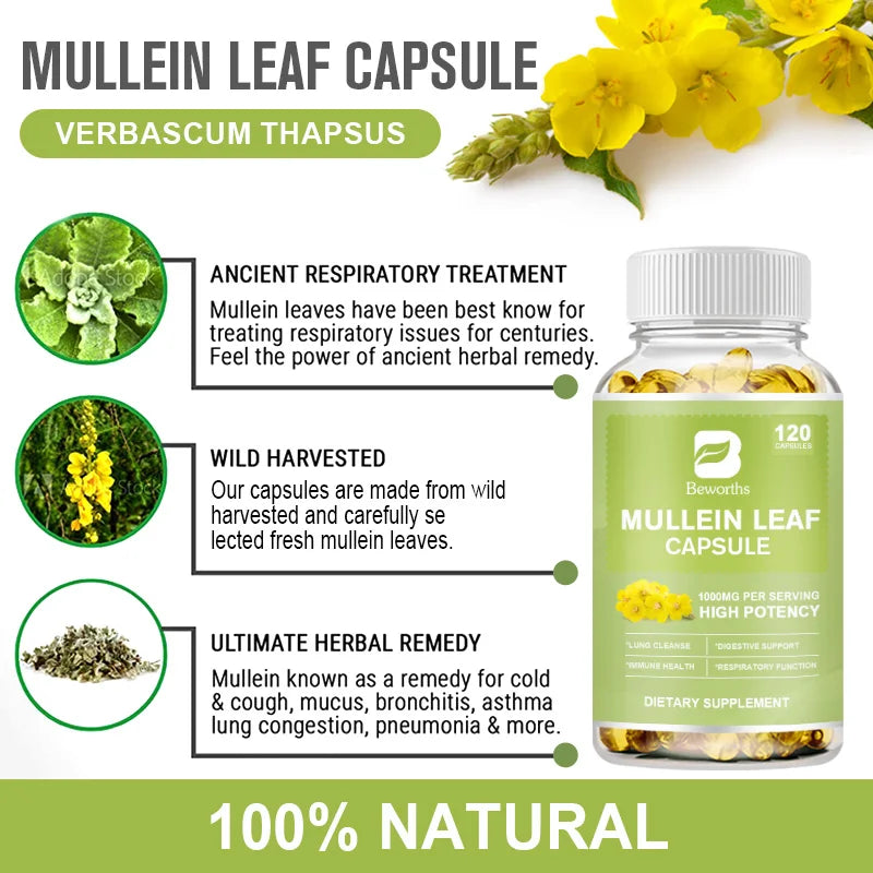 BEWORTHS Natural Mullein Leaf Capsules Support Immune and Digestive Health Lung Cleansing Relieve Asthma,Respiratory & Cough