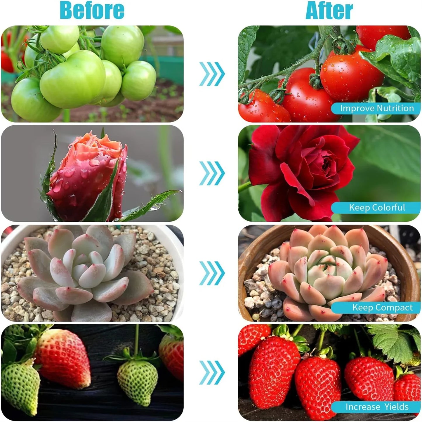 LED Plant Growth Light with Timer - Perfect for All Plants
