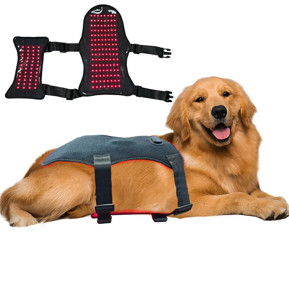 Red Light Therapy Belt for Pets | Pain Relief for Dogs & Cats