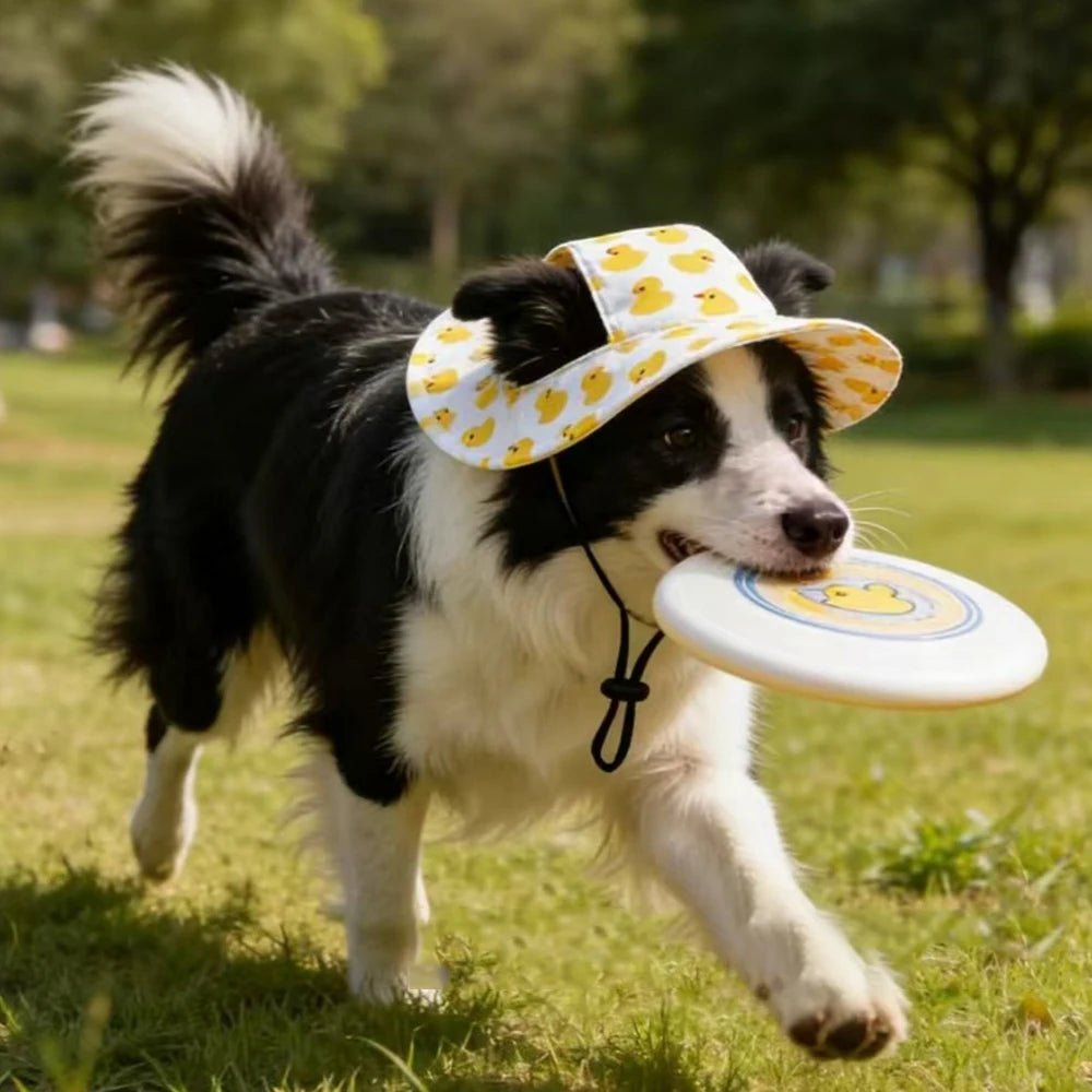 Cute Print Dog Hat for Small & Medium Dogs | Adjustable Pet Cap