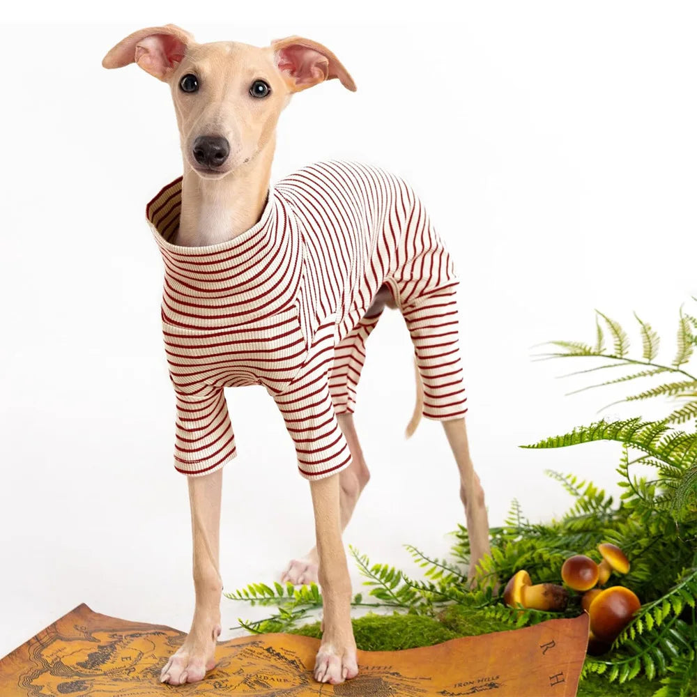 Four Legged Spring Pet Dog Jumpsuit | Comfortable Dog Apparel