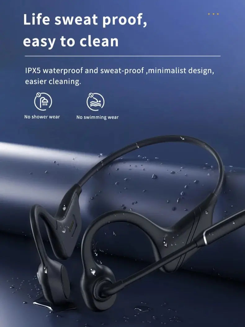Professional Open Stereo Headphones with Noise Canceling Microphone