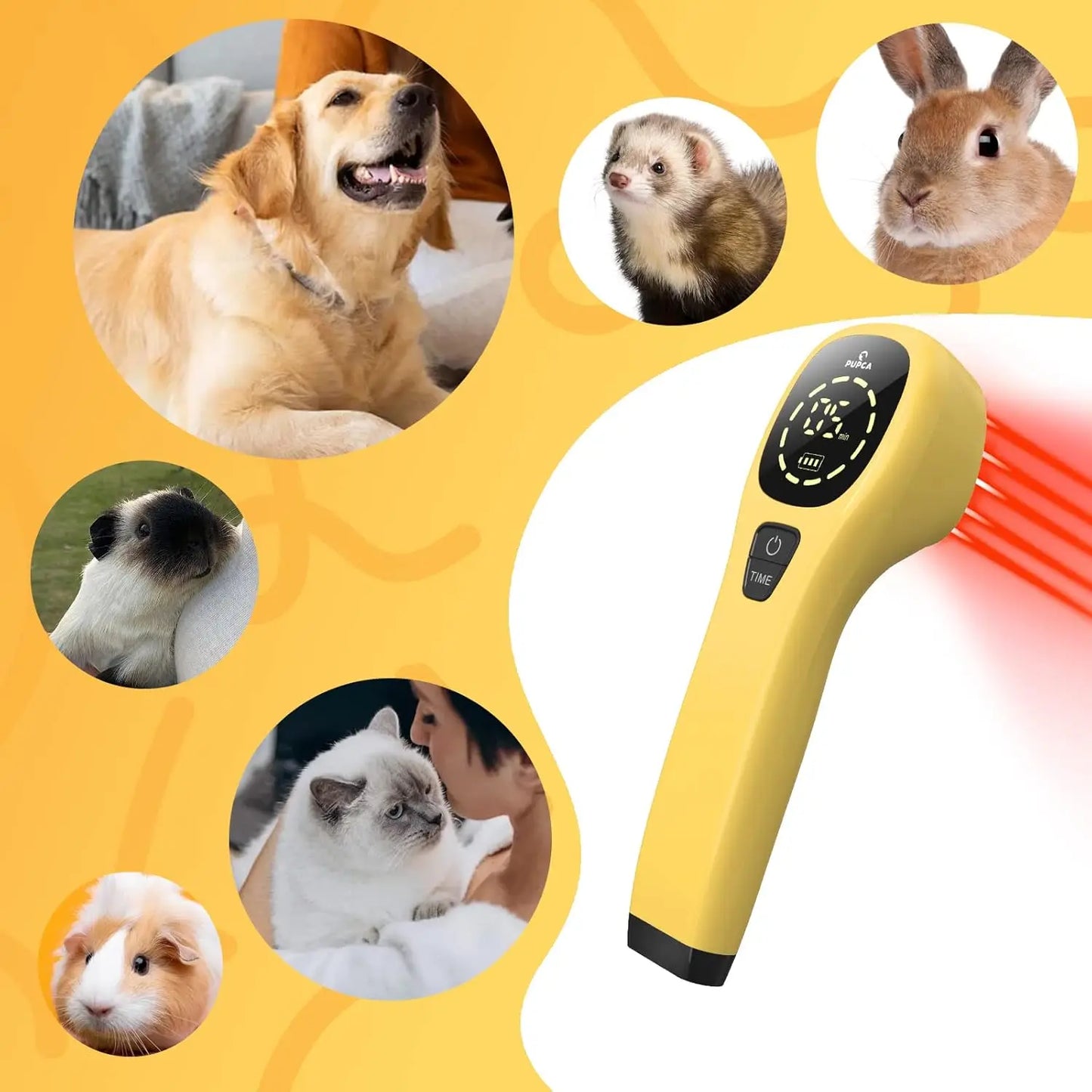Handheld Cold Laser Therapy Device for Pets | Pain Relief Tool