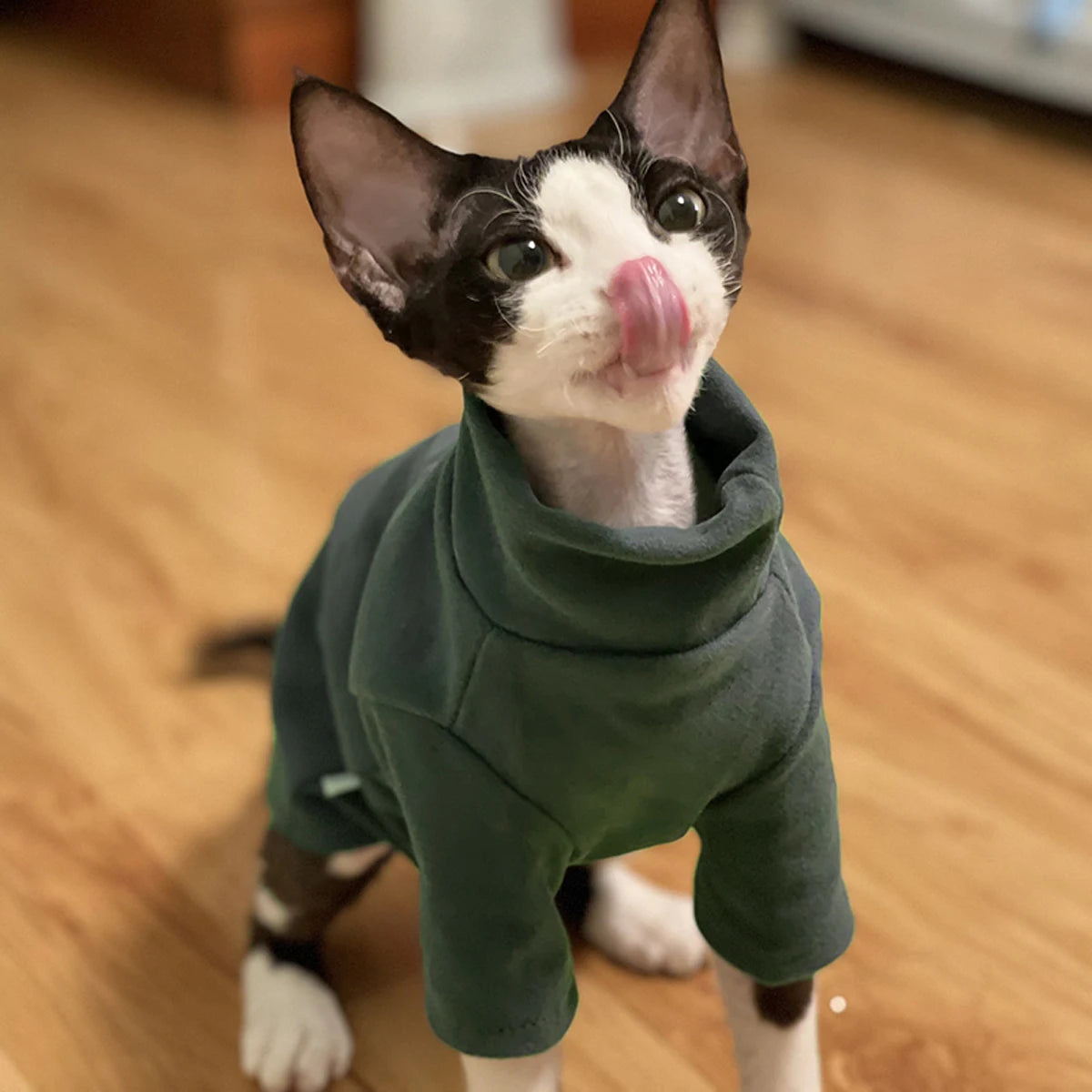 Ropa de Algodón Suave para Gatos Sin Pelo | Atuendos Cómodos y con Estilo