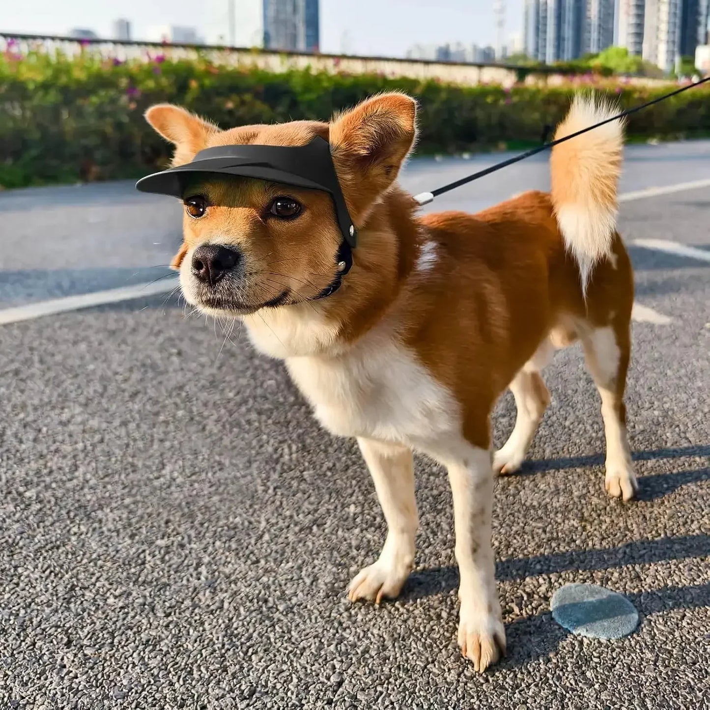 Stylish Dog Motorcycle Sun Hat | Adjustable Doggy Visor