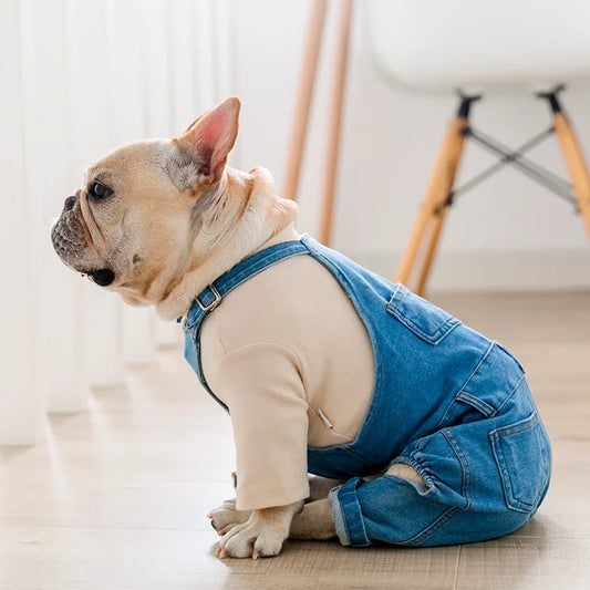 Elegante abrigo vaquero para perros de razas pequeñas y medianas | Ropa de abrigo para mascotas