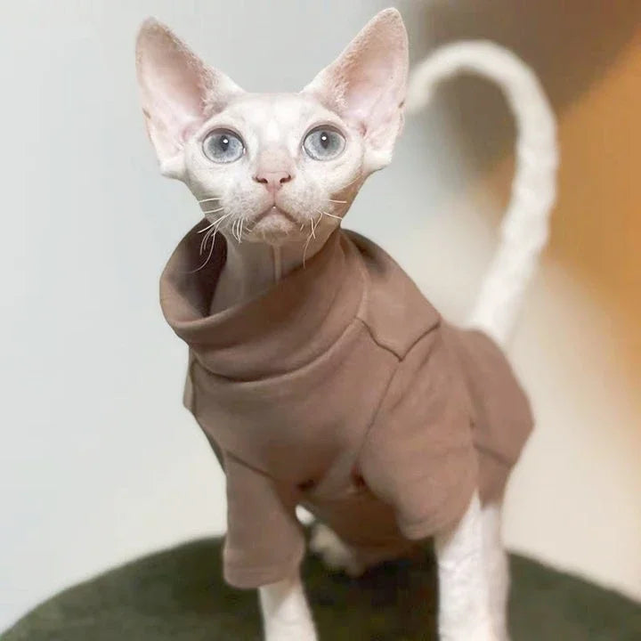 Ropa interior térmica cálida para gatos sin pelo | Prendas de abrigo auto-calentables