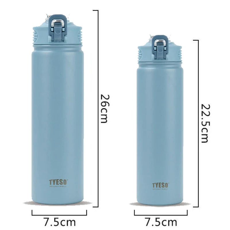 Stainless Steel Insulated Water Bottle with Straw - 600/750ML