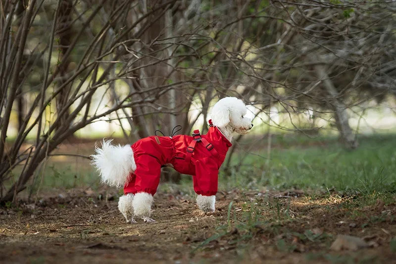 Adjustable Reflective Dog Raincoat with Harness for Small Dogs