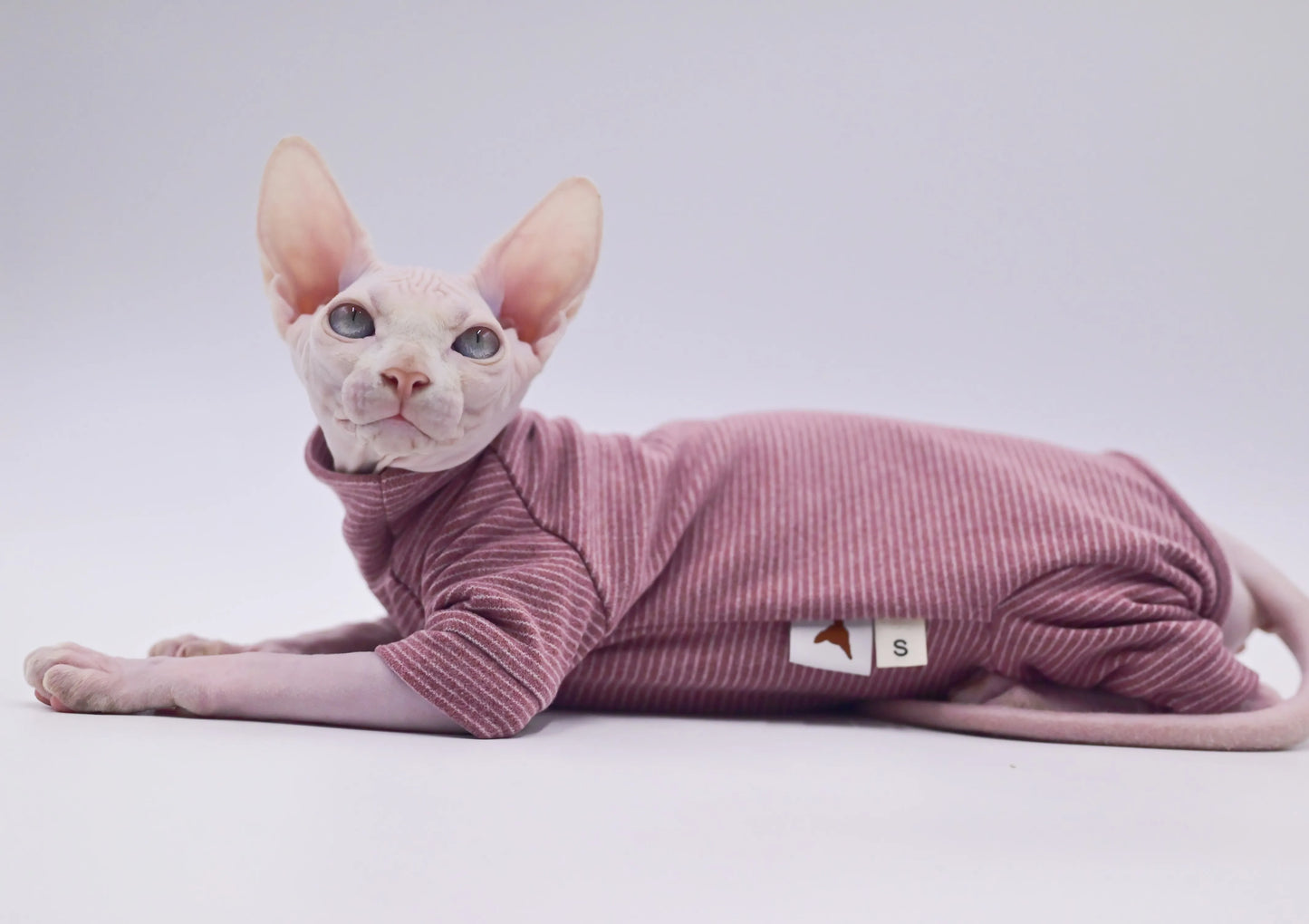 Sudadera con capucha cálida y suave para gatos sin pelo | Ropa acogedora para otoño-invierno