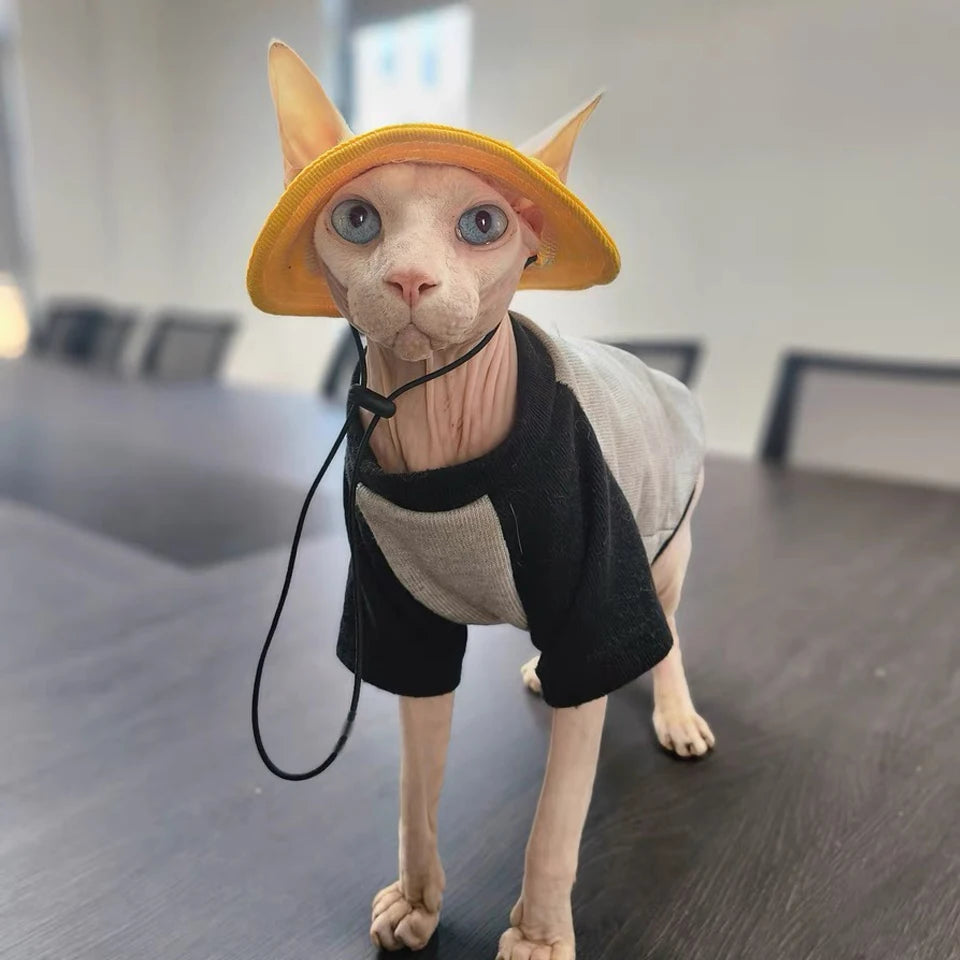 Adjustable Cotton Cat Hat with Ear Holes | Summer Sun Protection