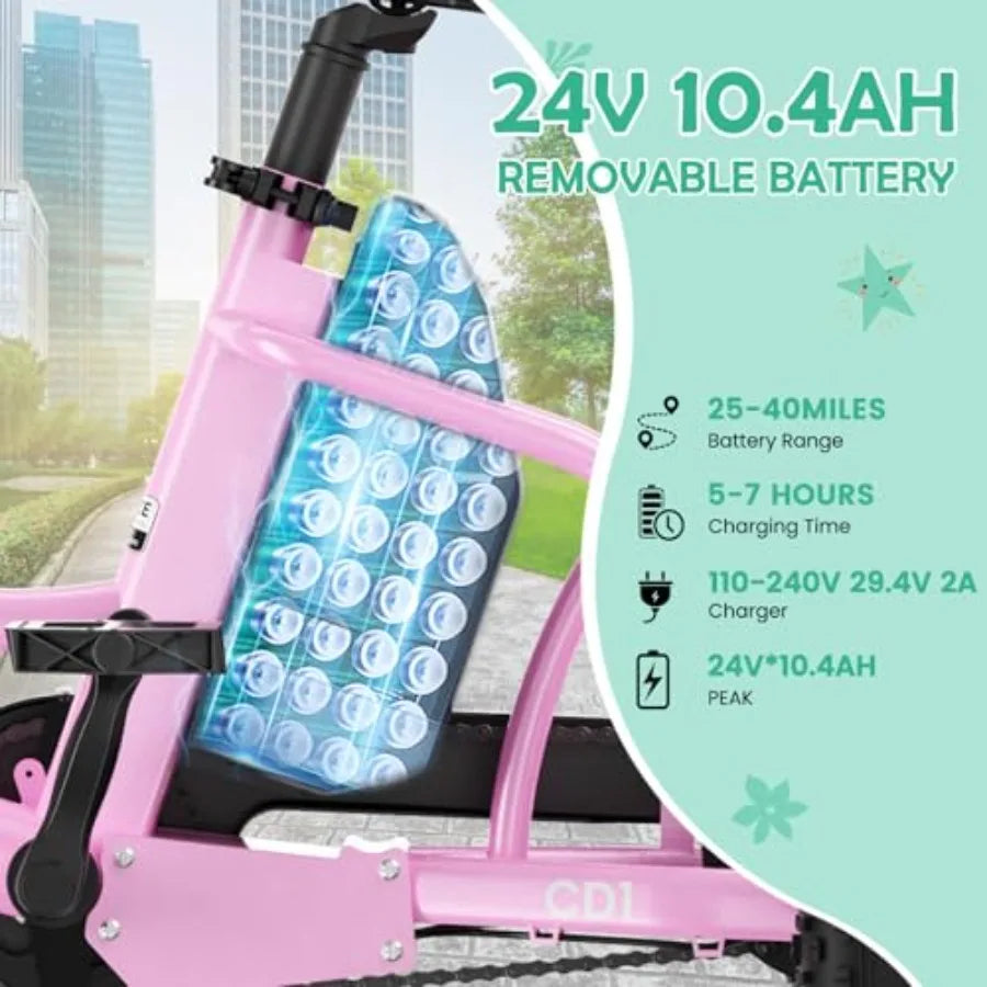 Electric Tricycle for Youth | 250W 3-Wheel Electric Bike