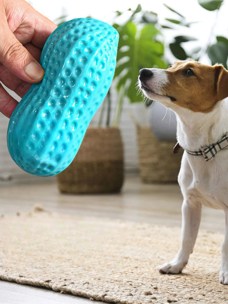 Interactive Dog Chewing Toy | Peanut Shaped Squeaker for Teeth Care