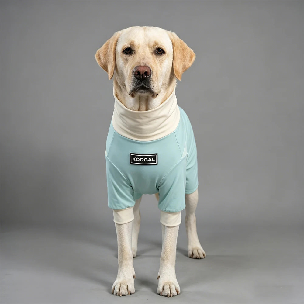 Summer Dog Cooling Clothes | Quick-Dry Pet Sun Protection Outfit