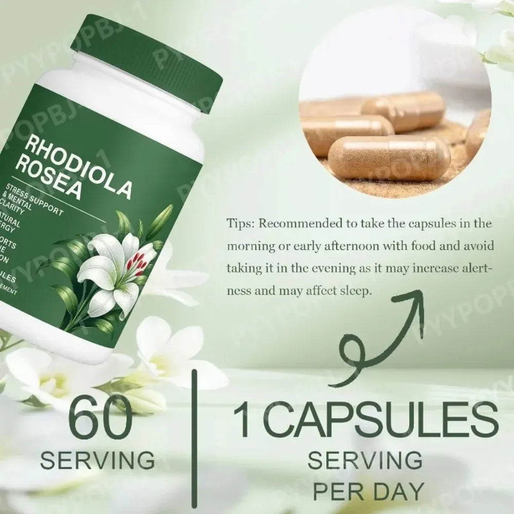 Rhodiola Rosea Capsules | Daily Energy & Mental Focus Support