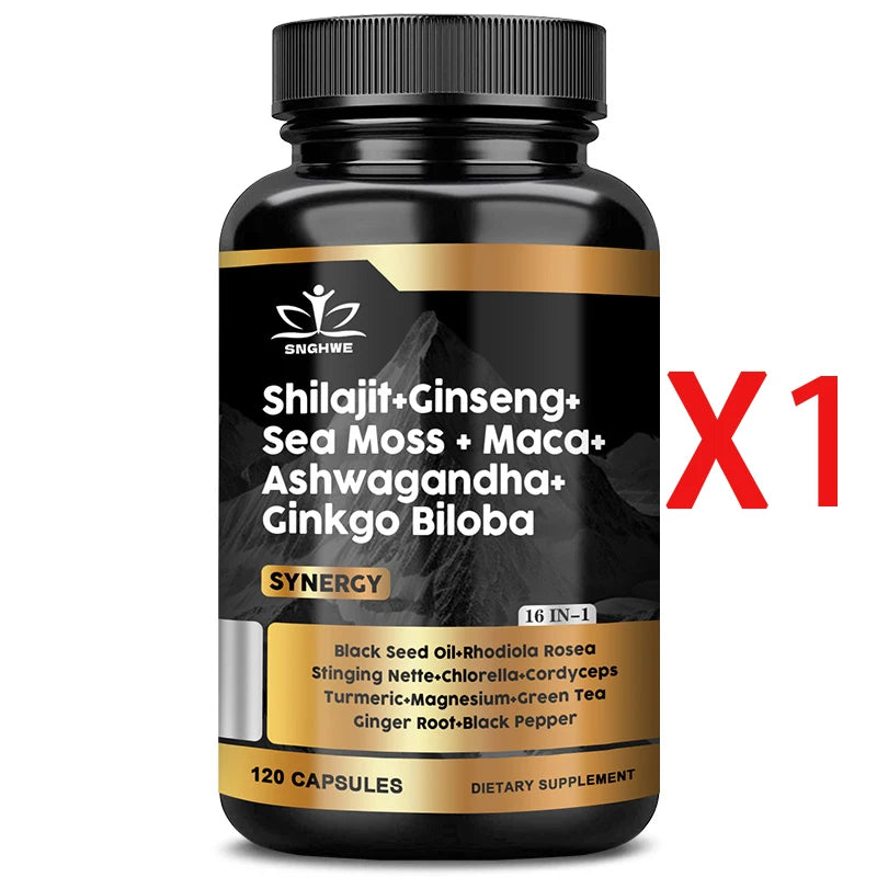 Shilajit Supplements Ginseng & Sea Moss & Ashwagandha & Ginkgo Biloba, Adaptive Energy Endurance Immune Antioxidants Gut Health