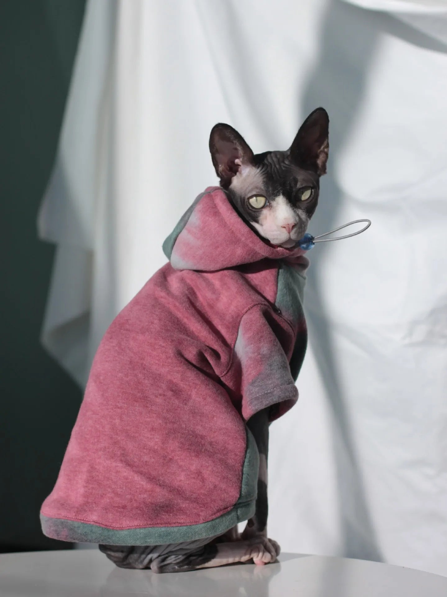 Warm Fleece-Lined Hoodie for Hairless Cats & Small Dogs