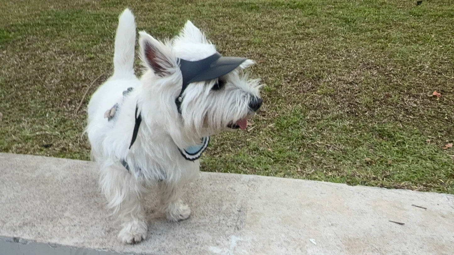Stylish Dog Motorcycle Sun Hat | Adjustable Doggy Visor
