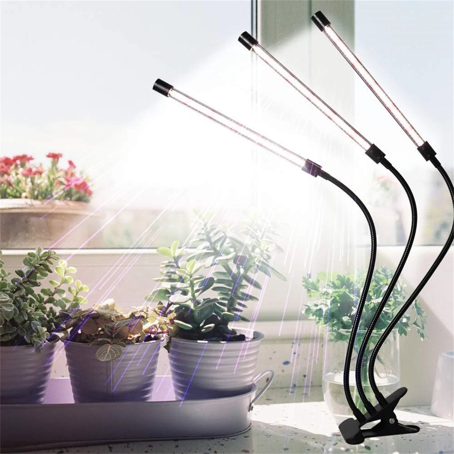LED Plant Growth Light with Timer - Perfect for All Plants
